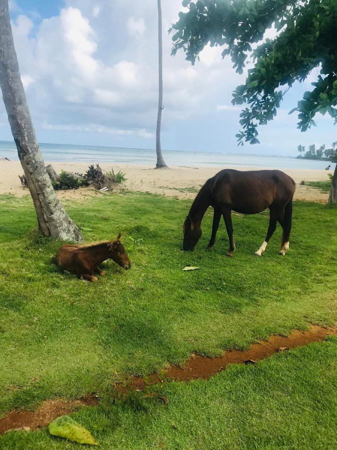 Oasis En La Naturaleza Rancho Alto Bonito Las Galeras Zewnętrze zdjęcie