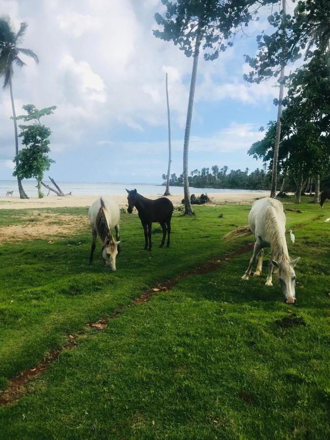 Oasis En La Naturaleza Rancho Alto Bonito Las Galeras Zewnętrze zdjęcie